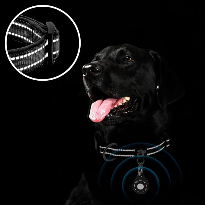 azuza Reflective Dog Collar with Airtag Holder
