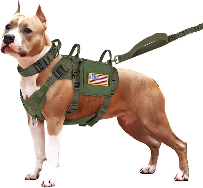 Forestpaw Tactical Dog Harness for Large Dogs,Tactical Dog Collar with Bungee Leash Set,No Pull Military Dog Harness for Dog Walking Training,Adjustable for Medium Large Dogs,Green S