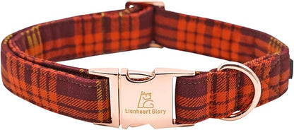 Lionheart glory Plaid Dog Collars Fall Halloween Dog