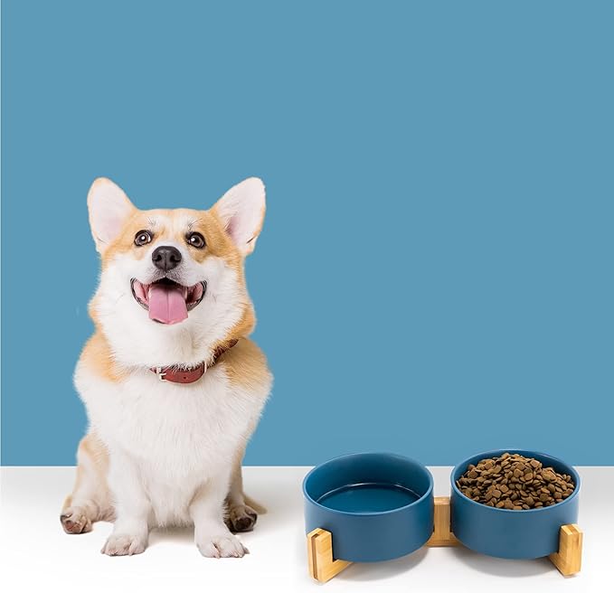 SPUNKYJUNKY Ceramic Dog and Cat Bowl Set with Wooden Stand, Modern Cute Weighted Food Water Set for Small Size Dogs (13.5OZ) & Medium Sized Dogs (28.7OZ) & Cats (3.6 Cups, 2 × Blue)