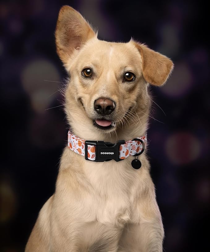 DOGWONG Halloween Pumpkin Dog Collar