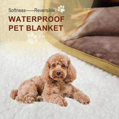 Bucephalus Waterproof Dog Blanket (Gray,25"×35")