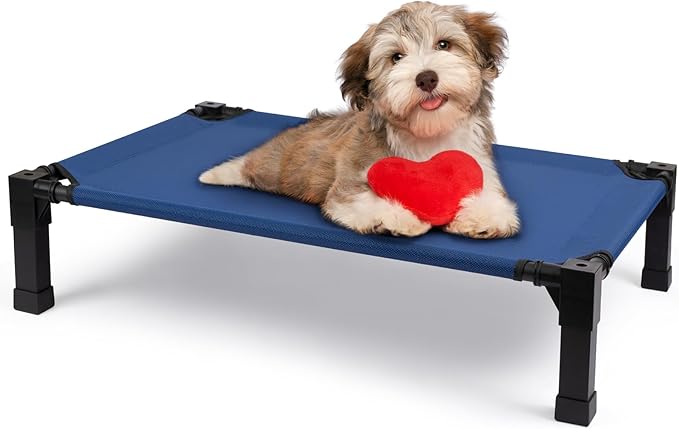 Cooling Elevated Dog Bed