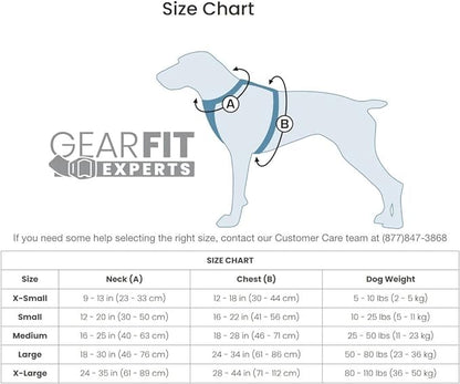 Kurgo Tru-Fit Smart Harness, Dog Harness, Pet Walking Harness, Quick Release Buckles, Front D-Ring for No Pull Training, includes Dog Seat Belt Tether (Blue, Medium)