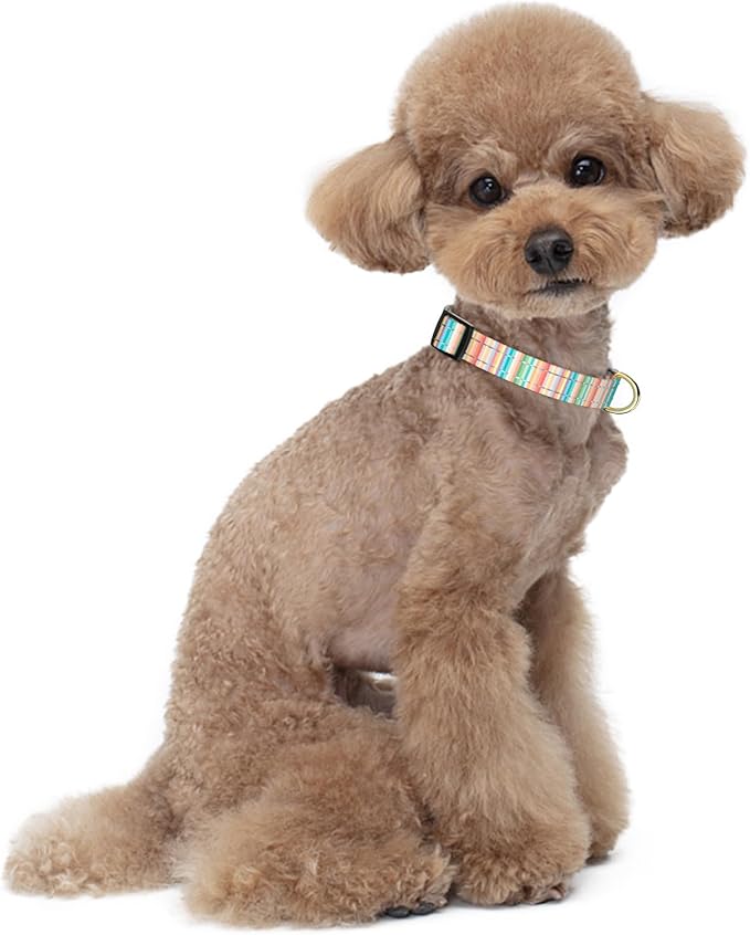 Reflective Dog Collar