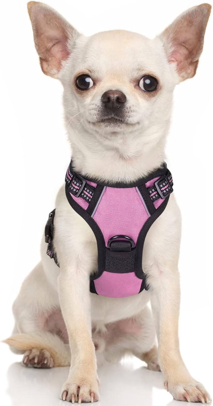 rabbitgoo Dog Harness, No-Pull Pet Harness with 2 Leash Clips, Adjustable Soft Padded Dog Vest, Reflective No-Choke Pet Oxford Vest with Easy Control Handle for Small Dogs, Pink, XS