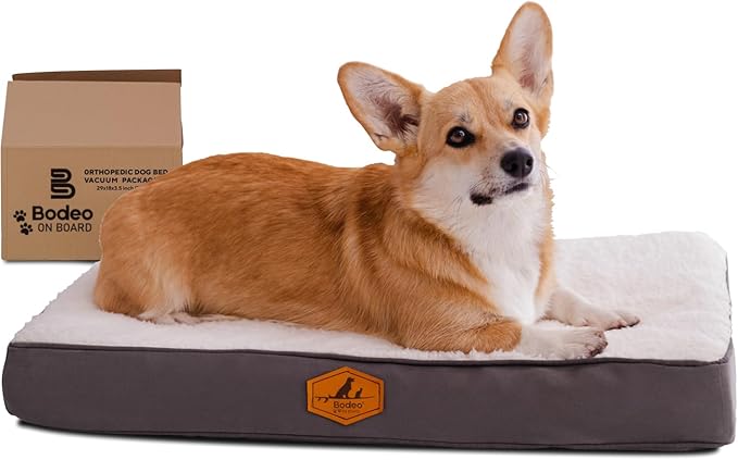 Orthopedic Dog Bed for Small Dogs