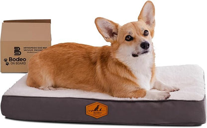 Orthopedic Dog Bed for Small Dogs