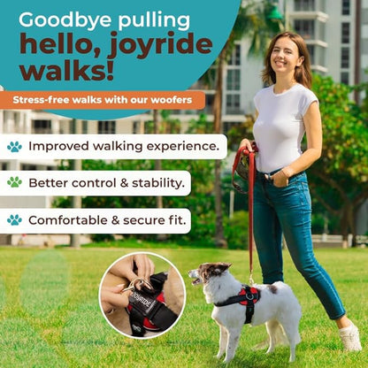 Joyride Harness 2.0 - The Original Side Ring No Pull Dog Harness - No Choke, Escape Proof, Reflective, 3 Leash Clips, Quick Fit Pet Vest - Easy Walks & Training - for Small, Medium & Large Dogs