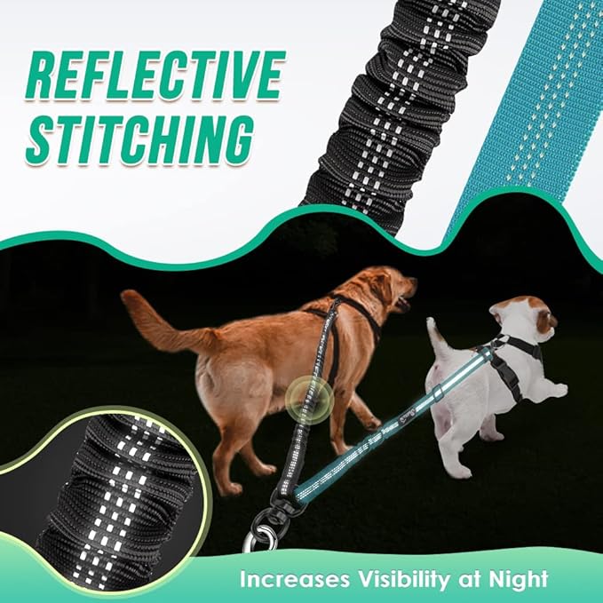 Two Dog Lead 2 in 1 Upgraded