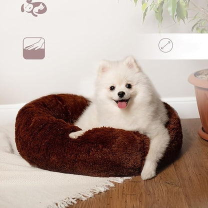 Cat Beds for Indoor Cats