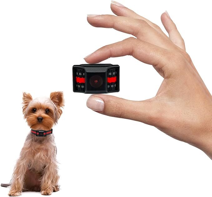Tiniest Bark Collar for Small Dogs 5-15lbs 1.6 * 1in & 0.42oz, No 5 Sensitivity