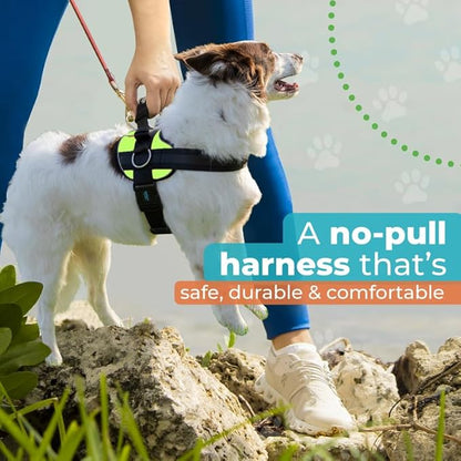 Joyride Harness 2.0 - The Original Side Ring No Pull Dog Harness - No Choke, Escape Proof, Reflective, 3 Leash Clips, Quick Fit Pet Vest - Easy Walks & Training - for Small, Medium & Large Dogs