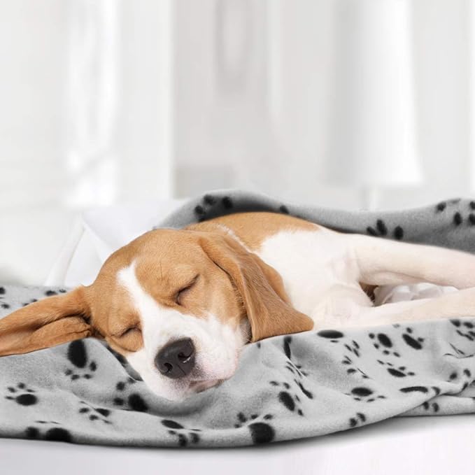 Comsmart Warm Paw Print Blanket/Bed Cover for Dogs and Cats