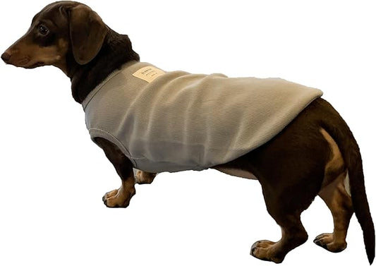 Dachshund Clothes for Dogs Mini and Adults T Shirts (XS