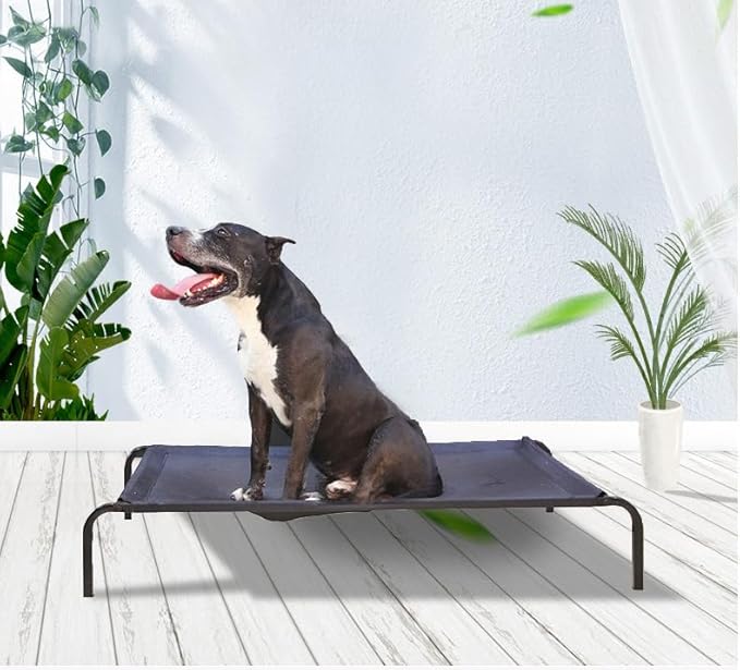 Elevated Dog Bed 35.4x23.6 x 5.9in, Portable
