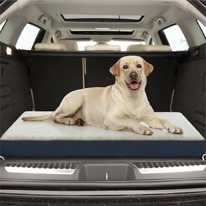 Friends Forever Orthopedic Dog Bed 36x27x3