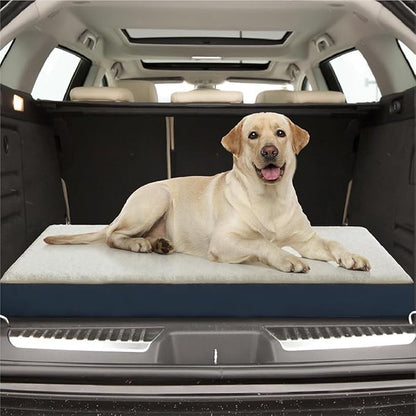 Friends Forever Orthopedic Dog Bed 36x27x3