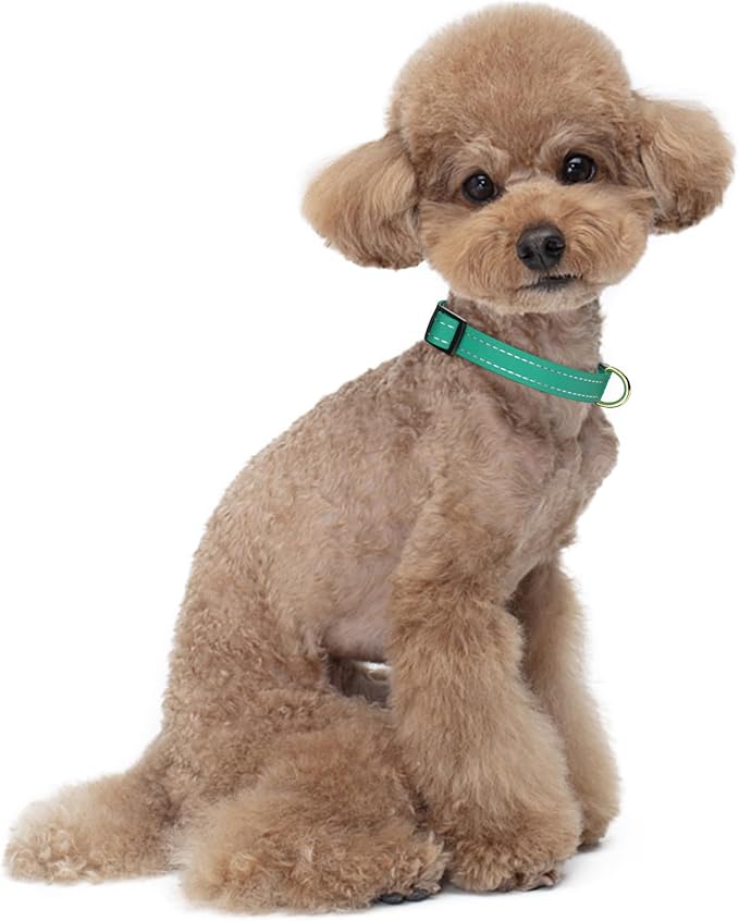 Reflective Dog Collar