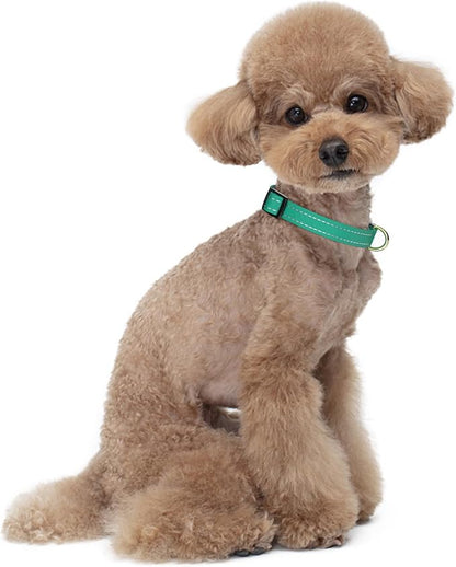 Reflective Dog Collar