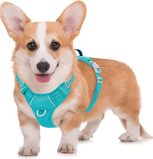 BARKBAY No Pull Dog Harness Large Step in Reflective Dog Harness with Front Clip and Easy Control Handle for Walking Training Running with ID tag Pocket(Ocean Blue