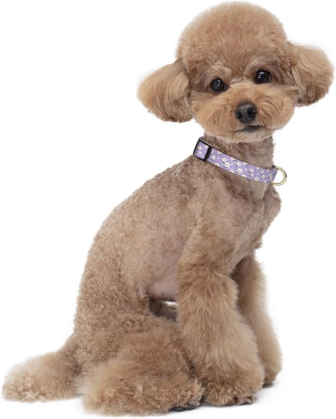 Reflective Dog Collar