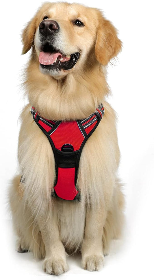 rabbitgoo Dog Harness 2 Leash