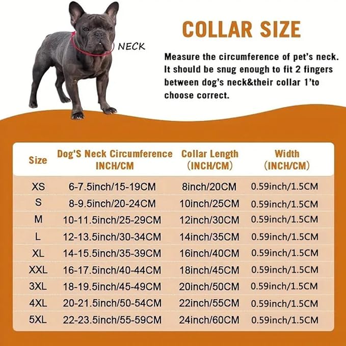 Chain Collar for Small Dogs Collar,15mm Wide (8 inch)