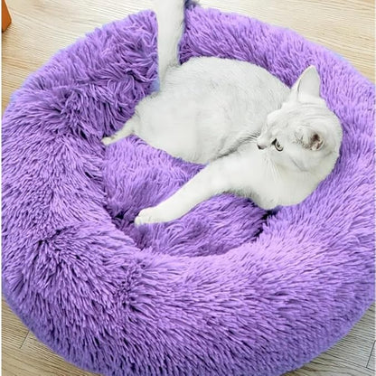 Cat Beds for Indoor Cats