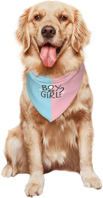 He Or She What Will It Be? Gender Reveal/Baby Announcement Dog Bandana,Pet Neckerchief for Pets Daily Wear Photo Prop Party Supplies (boy or Girl-1)