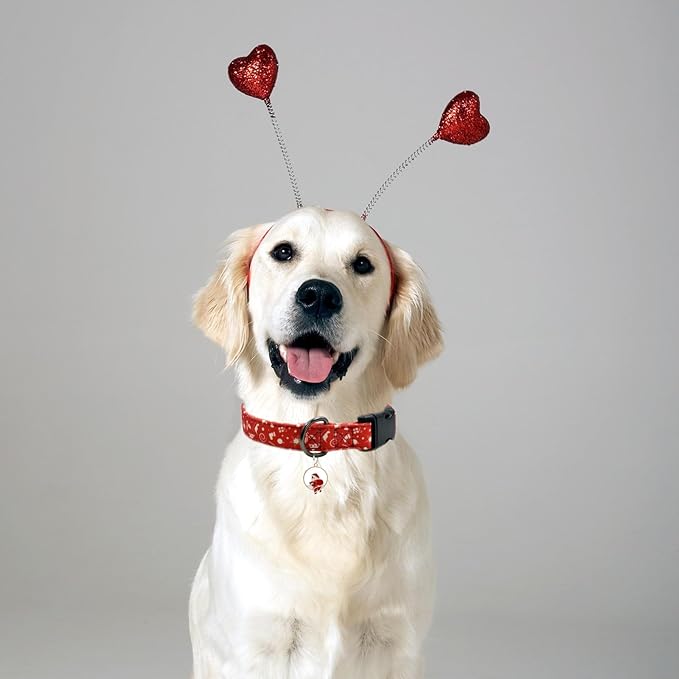 Christmas Dog Collar with Pendant