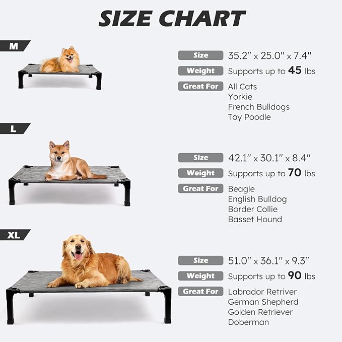 Cooling Elevated Dog Bed