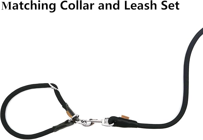 Dog Leash ((1/2") - 2FT, Black)