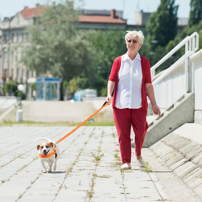 Lukovee Dog Harness and Leash Set, Soft Padded Small Dog Harness, Neck & Chest Adjustable Reflective Vest Puppy Harness with 4ft Lightweight Anti-Twist Dog Leash for Small Dogs (Orange, XX-Small)