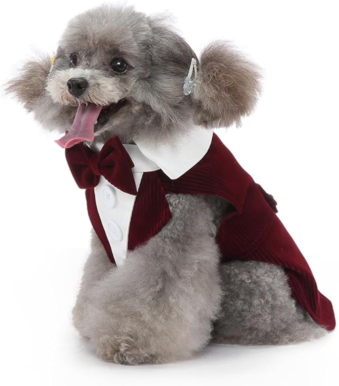 Puppy Velvet Tuxedo with Detachable Bowtie Prom Wedding Formal Wear Prince Costume for Small Dog (Medium, Wine Red)