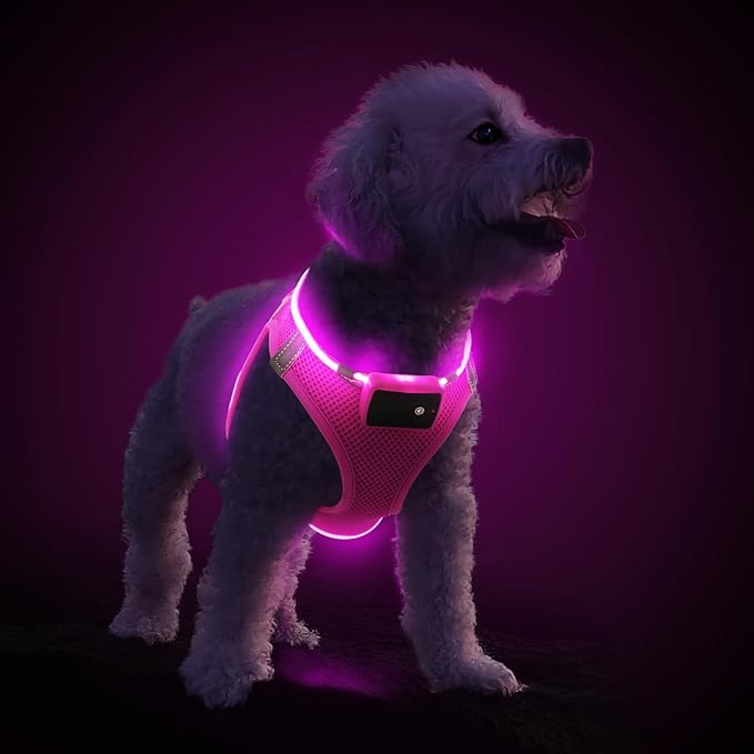 PcEoTllar Light Up Dog Harness, LED Dog Harness for Puppy Small Medium Dogs, Rechargeable No Pull Reflective Dog Harness, Flashing Lighted Dog Harness for Night Walking (Pink,M)