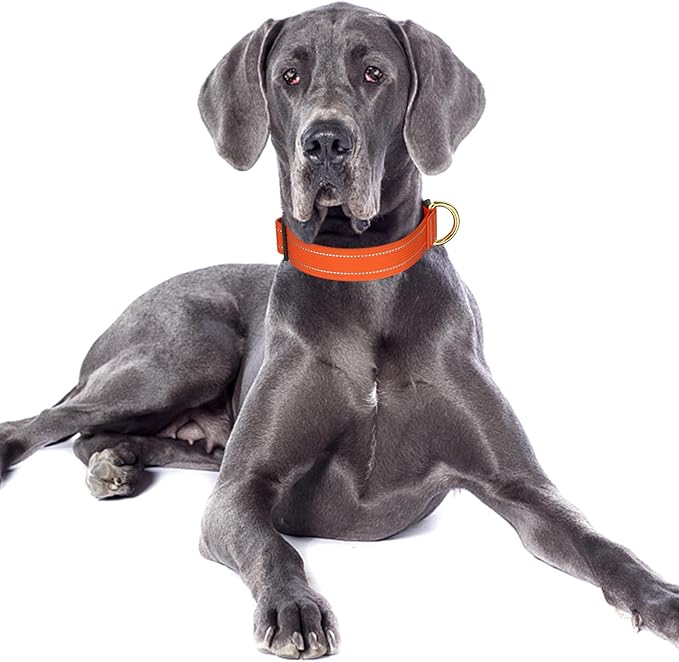 Reflective Dog Collar