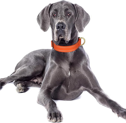 Reflective Dog Collar