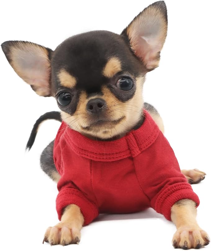 LOPHIPETS 100% Cotton Dog Tee Shirt for Small