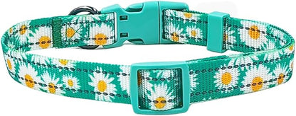 Floral Pattern Dog Collar