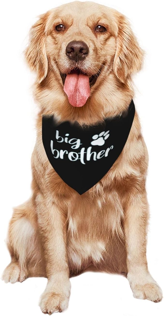 Big Brother Gender Reveal Baby Announcement Dog Bandana