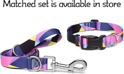 Adjustable Dog Collar with Patterns