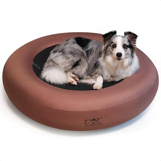 Elevated Dog Bed