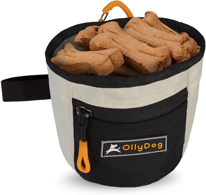 OllyDog Goodie Treat Bag, Dog Treat Pouch, Waist Belt Clip for Hands-Free Training, Magnetic Closure, Dog Training and Behavior Aids, Three Ways to Wear (Bluff)