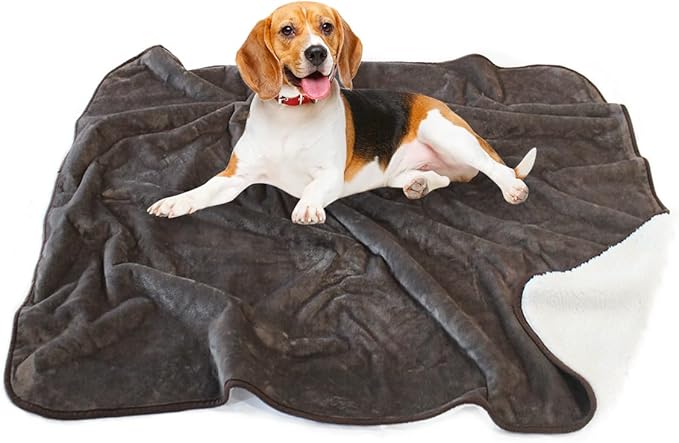 Bucephalus Waterproof Dog Blanket (Brown,30"×40")
