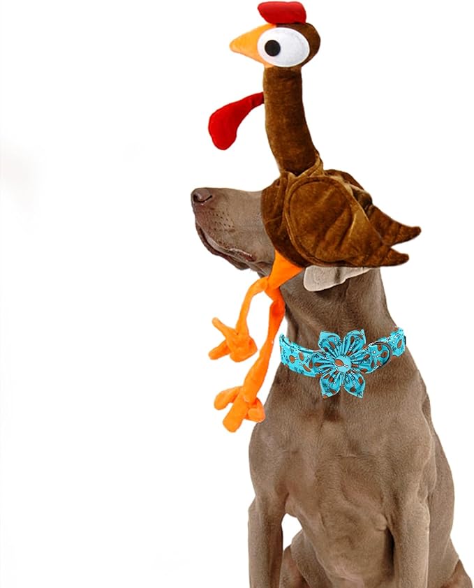 Elegant little tail Dog Collar with Flower