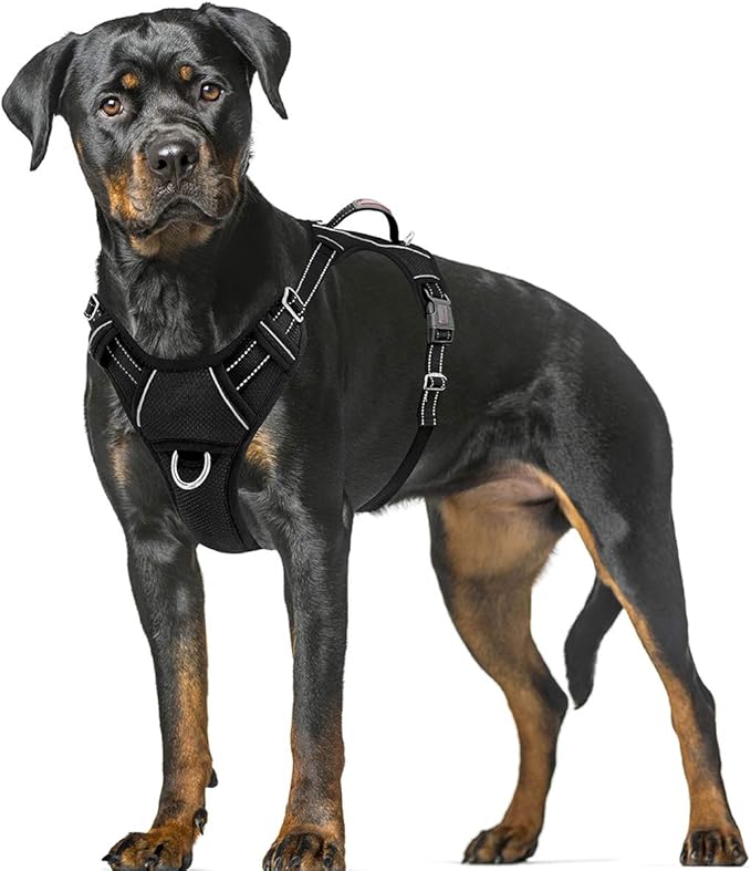 BARKBAY No Pull Dog Harness Large Step in Reflective Dog Harness with Front Clip and Easy Control Handle for Walking Training Running with ID tag Pocket(Black