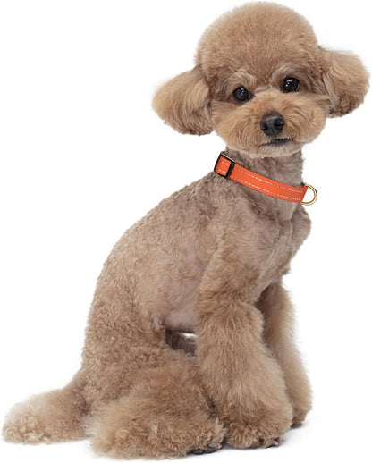 Reflective Dog Collar