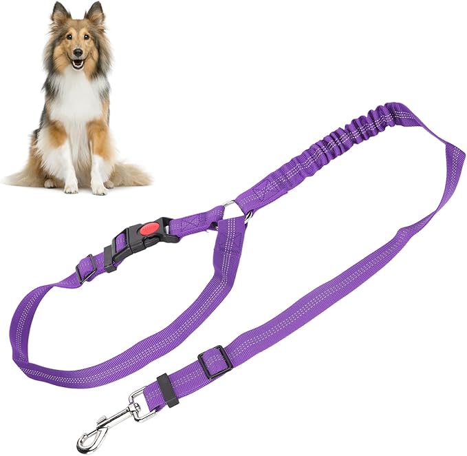 Dog Seat Belt for Cars