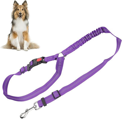 Dog Seat Belt for Cars